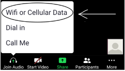 Zoom mobile screen showing Join Audio options with WiFi or Cellular Data selected